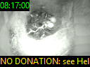 08:17:00