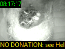 08:17:17