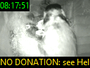 08:17:51