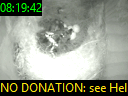 08:19:42