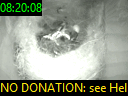 08:20:08