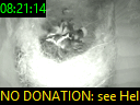 08:21:14