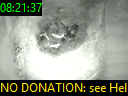 08:21:37