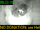 08:22:10