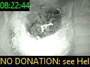 08:22:44
