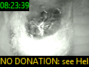 08:23:39