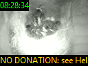 08:28:34