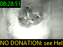 08:28:51
