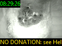 08:29:26