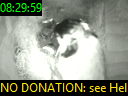 08:29:59