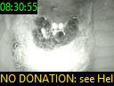 08:30:55