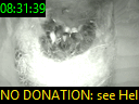 08:31:39
