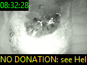 08:32:28