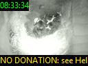 08:33:34