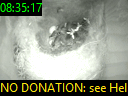 08:35:17