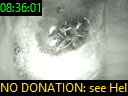 08:36:01