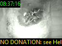 08:37:16