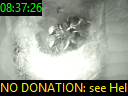 08:37:26