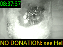 08:37:37