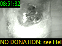 08:51:32