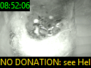 08:52:06