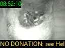 08:52:10
