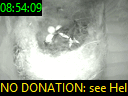 08:54:09