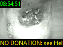 08:54:51