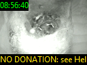 08:56:40