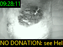 09:28:11