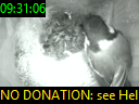09:31:06