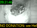 09:31:46