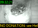 09:32:21