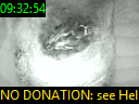 09:32:54
