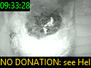 09:33:28