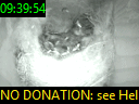 09:39:54