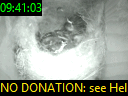 09:41:03