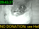 09:43:37