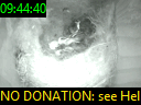 09:44:40