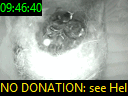 09:46:40