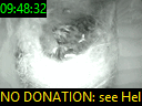 09:48:32