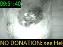 09:51:40