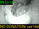 09:52:13