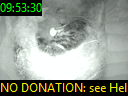 09:53:30