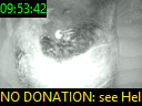 09:53:42