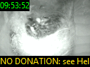 09:53:52