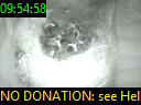 09:54:58
