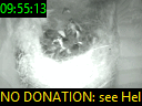09:55:13