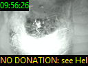 09:56:26