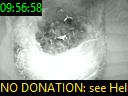 09:56:58